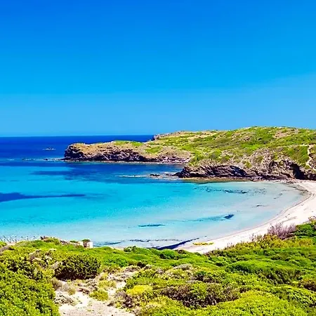 Mar Blanca Hotell